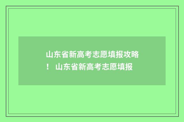 山东省新高考志愿填报攻略！ 山东省新高考志愿填报