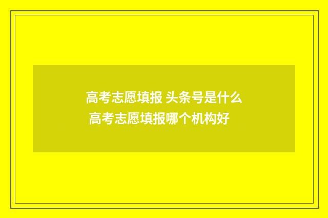 高考志愿填报 头条号是什么 高考志愿填报哪个机构好