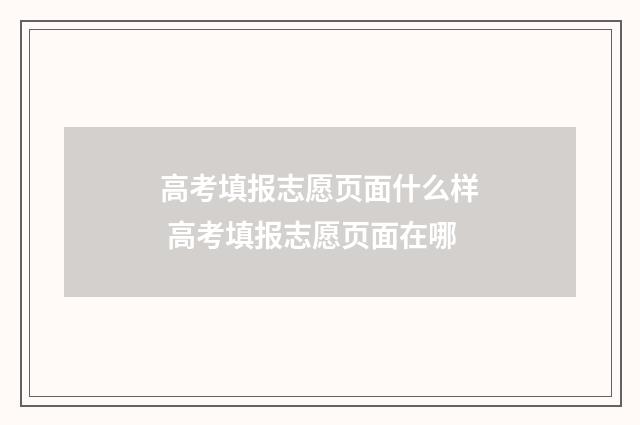 高考填报志愿页面什么样 高考填报志愿页面在哪