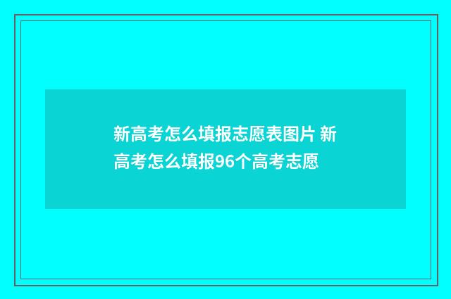新高考怎么填报志愿表图片 新高考怎么填报96个高考志愿