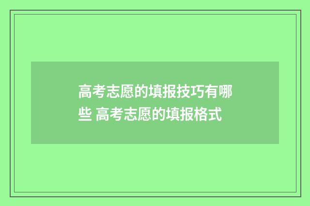 高考志愿的填报技巧有哪些 高考志愿的填报格式