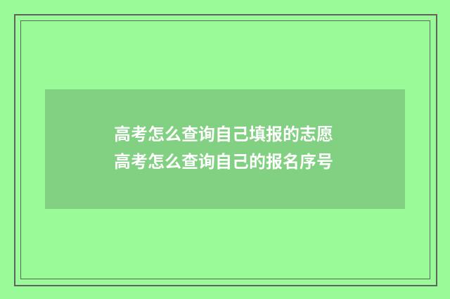 高考怎么查询自己填报的志愿 高考怎么查询自己的报名序号