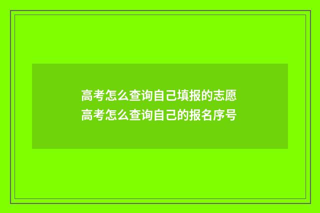 高考怎么查询自己填报的志愿 高考怎么查询自己的报名序号