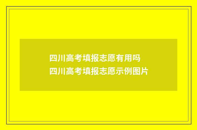 四川高考填报志愿有用吗 四川高考填报志愿示例图片