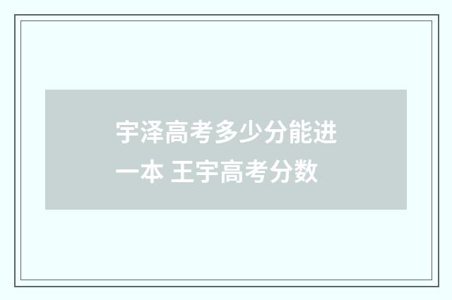 宇泽高考多少分能进一本 王宇高考分数
