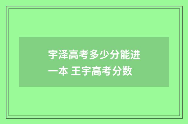 宇泽高考多少分能进一本 王宇高考分数