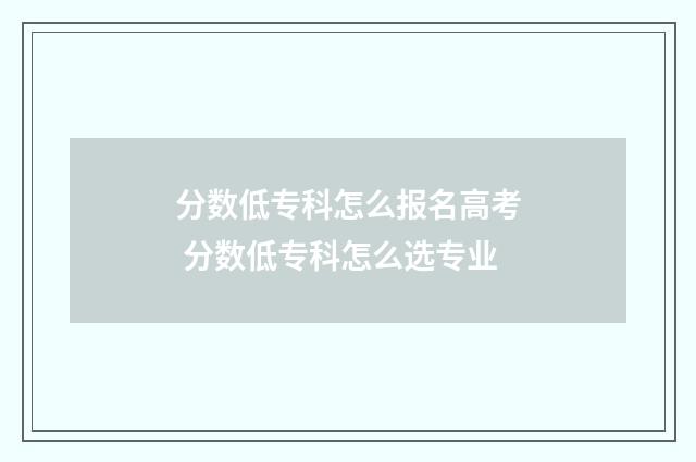 分数低专科怎么报名高考 分数低专科怎么选专业