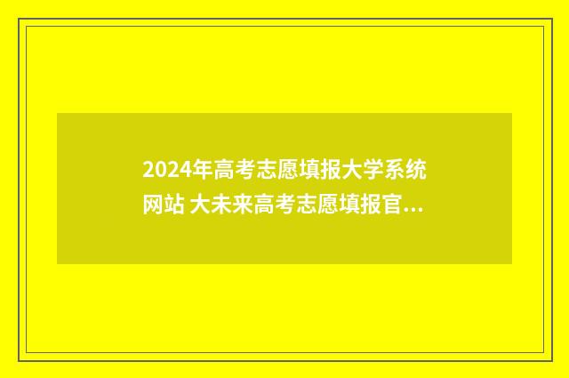 2024年高考志愿填报大学系统网站 大未来高考志愿填报官网