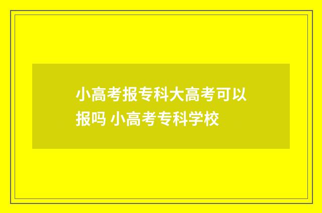 小高考报专科大高考可以报吗 小高考专科学校