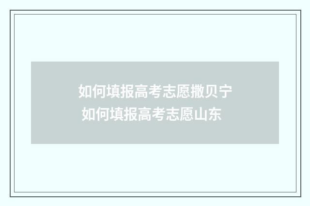 如何填报高考志愿撒贝宁 如何填报高考志愿山东