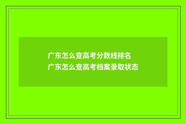 广东怎么查高考分数线排名 广东怎么查高考档案录取状态