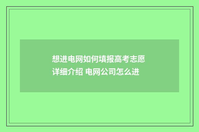 想进电网如何填报高考志愿 详细介绍 电网公司怎么进