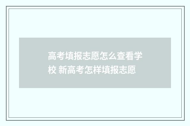 高考填报志愿怎么查看学校 新高考怎样填报志愿