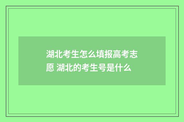 湖北考生怎么填报高考志愿 湖北的考生号是什么