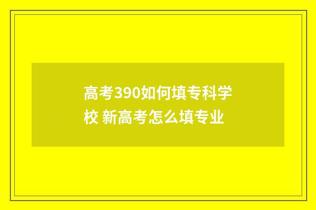 高考390如何填专科学校 新高考怎么填专业