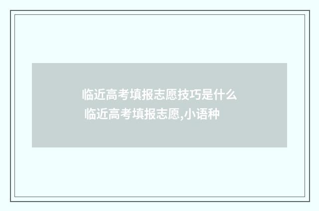 临近高考填报志愿技巧是什么 临近高考填报志愿,小语种