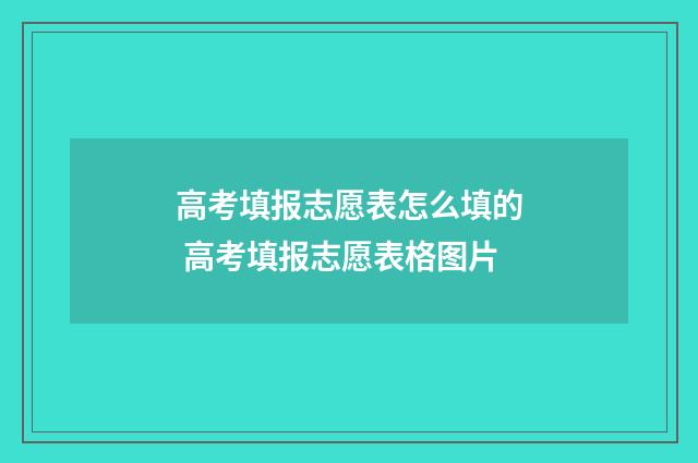 高考填报志愿表怎么填的 高考填报志愿表格图片