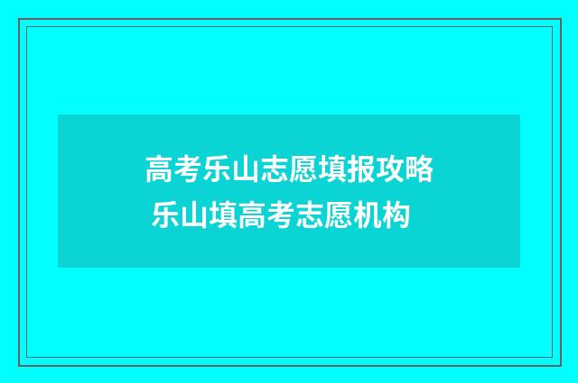 高考乐山志愿填报攻略 乐山填高考志愿机构