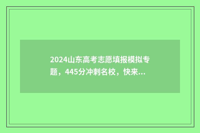 2024山东高考志愿填报模拟专题，445分冲刺名校，快来一试身手！(内附模拟填报入口及历年报考数据) 2024山东高考志愿填报网址