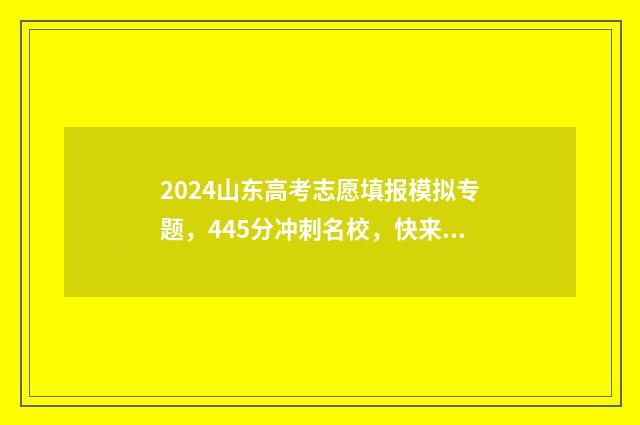 2024山东高考志愿填报模拟专题，445分冲刺名校，快来一试身手！(内附模拟填报入口及历年报考数据) 2024山东高考志愿填报网址