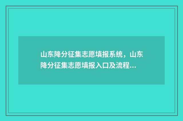 山东降分征集志愿填报系统，山东降分征集志愿填报入口及流程详解 山东省降分补录