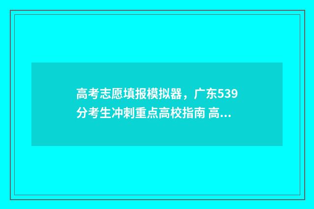 高考志愿填报模拟器，广东539分考生冲刺重点高校指南 高考志愿填报模拟