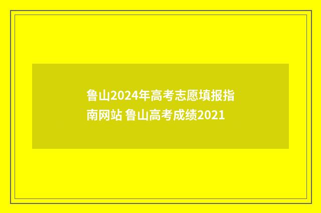 鲁山2024年高考志愿填报指南网站 鲁山高考成绩2021