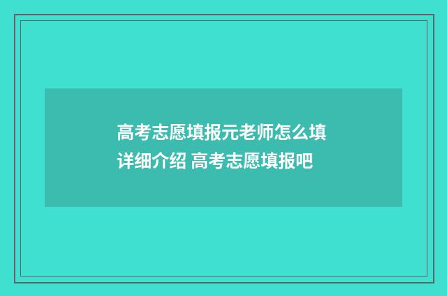 高考志愿填报元老师怎么填 详细介绍 高考志愿填报吧