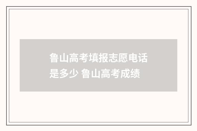 鲁山高考填报志愿电话是多少 鲁山高考成绩