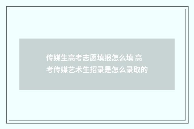 传媒生高考志愿填报怎么填 高考传媒艺术生招录是怎么录取的
