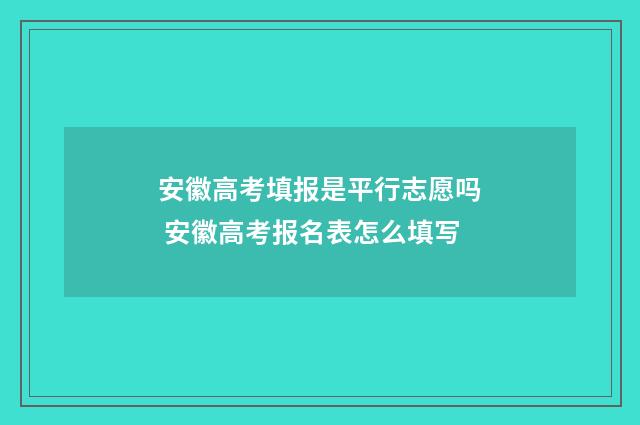 安徽高考填报是平行志愿吗 安徽高考报名表怎么填写