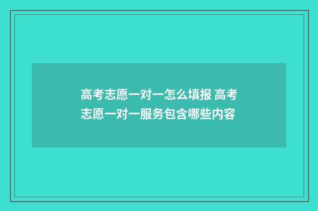 高考志愿一对一怎么填报 高考志愿一对一服务包含哪些内容