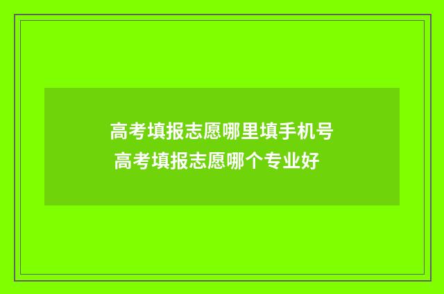 高考填报志愿哪里填手机号 高考填报志愿哪个专业好