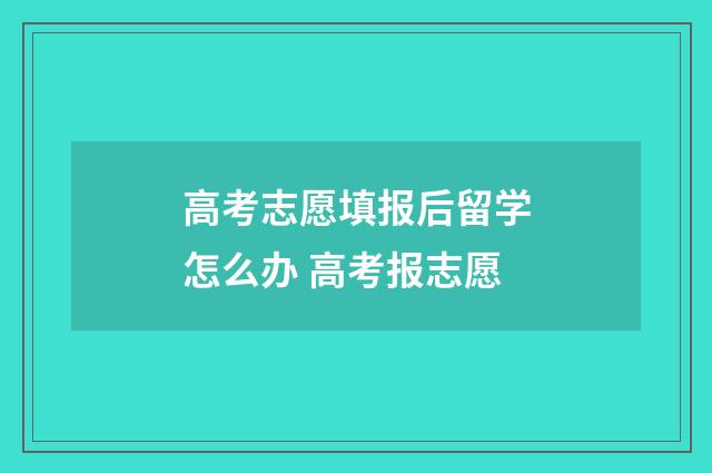 高考志愿填报后留学怎么办 高考报志愿