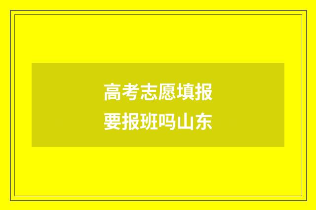 高考志愿填报要报班吗山东