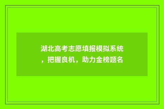 湖北高考志愿填报模拟系统，把握良机，助力金榜题名