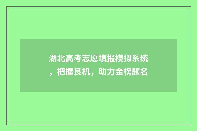 湖北高考志愿填报模拟系统，把握良机，助力金榜题名