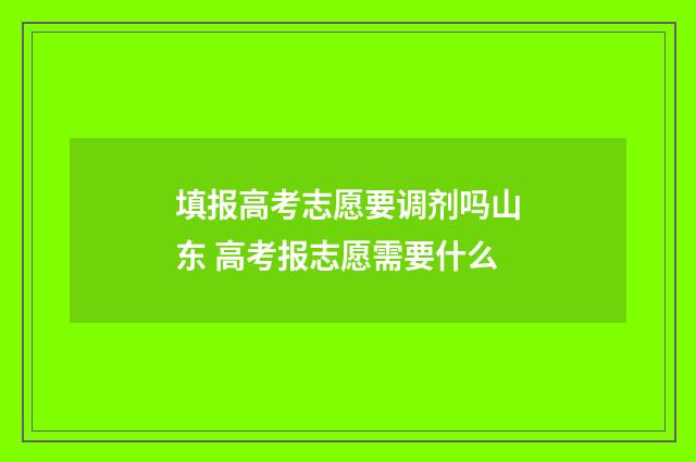 填报高考志愿要调剂吗山东 高考报志愿需要什么