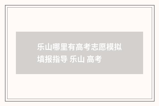 乐山哪里有高考志愿模拟填报指导 乐山 高考