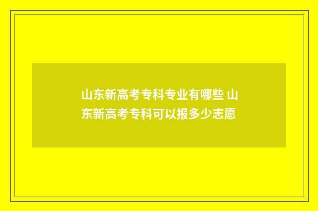 山东新高考专科专业有哪些 山东新高考专科可以报多少志愿