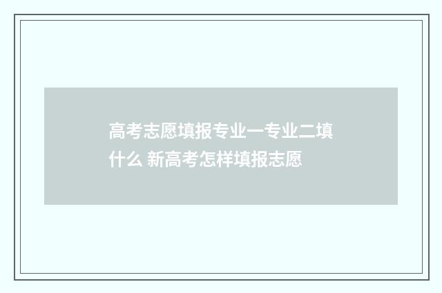 高考志愿填报专业一专业二填什么 新高考怎样填报志愿