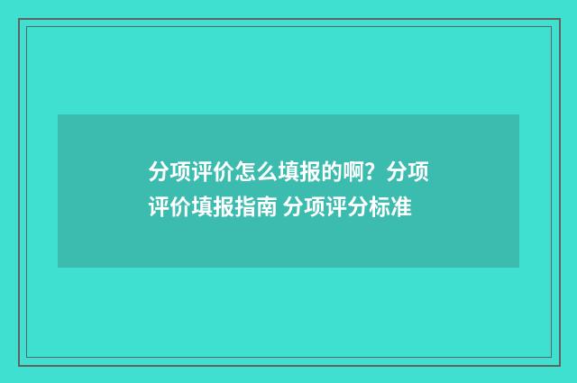 分项评价怎么填报的啊？分项评价填报指南 分项评分标准