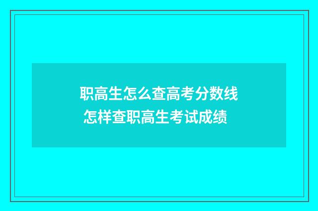 职高生怎么查高考分数线 怎样查职高生考试成绩