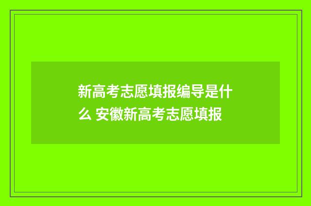 新高考志愿填报编导是什么 安徽新高考志愿填报