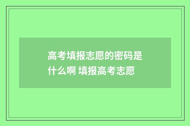 高考填报志愿的密码是什么啊 填报高考志愿