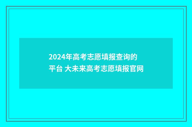 2024年高考志愿填报查询的平台 大未来高考志愿填报官网