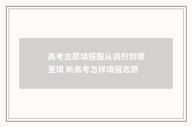 高考志愿填报服从调剂到哪里填 新高考怎样填报志愿