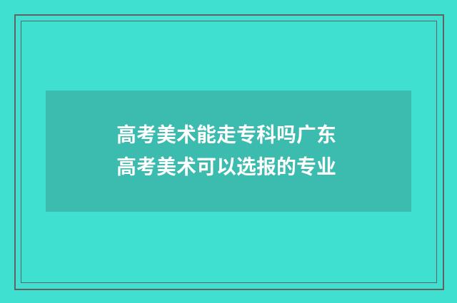 高考美术能走专科吗广东 高考美术可以选报的专业