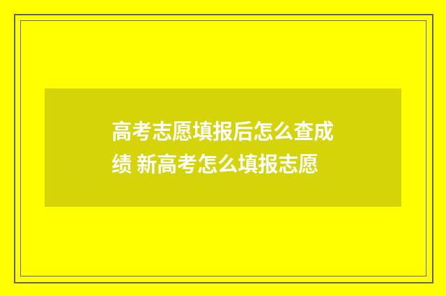 高考志愿填报后怎么查成绩 新高考怎么填报志愿