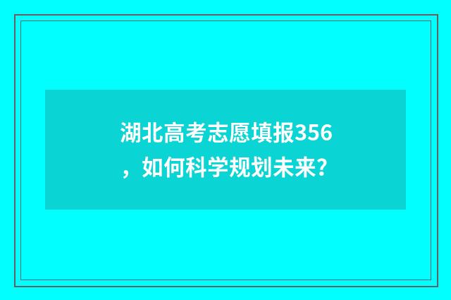湖北高考志愿填报356，如何科学规划未来？